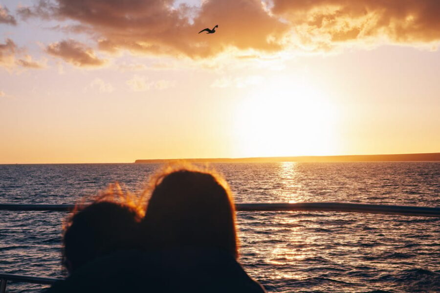 Lanzarote: Dolphin-Watching Sunset Cruise with Transfers - From pickup to boarding: what “transfers included” really means