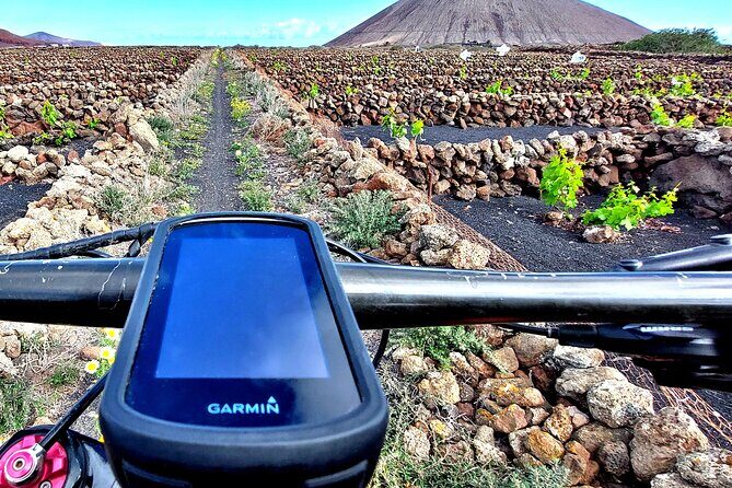 Lanzarote E-Bike Tour: Volcano Craters & Scenic Vineyards - Bikes, helmets, and what “easy for all levels” really means