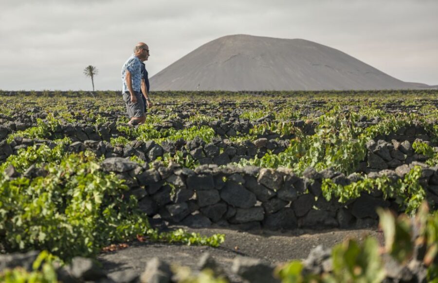 Lanzarote: El Grifo Wine Cellar Tour with Tasting - Should You Book This Tour?