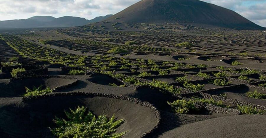 Lanzarote: Full Day Bus Tour with Scenic Views - North and South Lanzarote: Why this bus route works