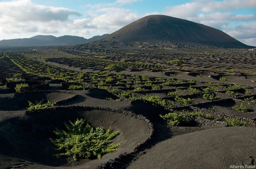 Lanzarote: Full Day Bus Tour with Scenic Views - Timanfaya National Park: Where geothermal heat does the talking