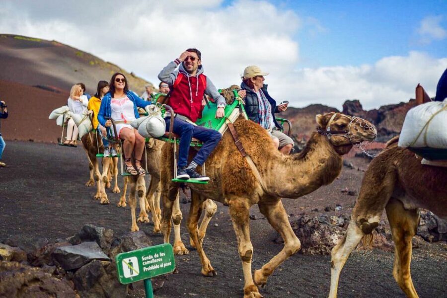 Lanzarote: Full-Day Island Highlights Tour - Price and Ticket Options: How to Get Your Money’s Worth