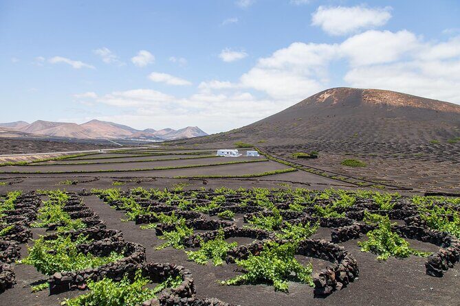 Lanzarote Grand Tour - El Lago Verde / Charco de los Clicos: quick, photogenic, and easy