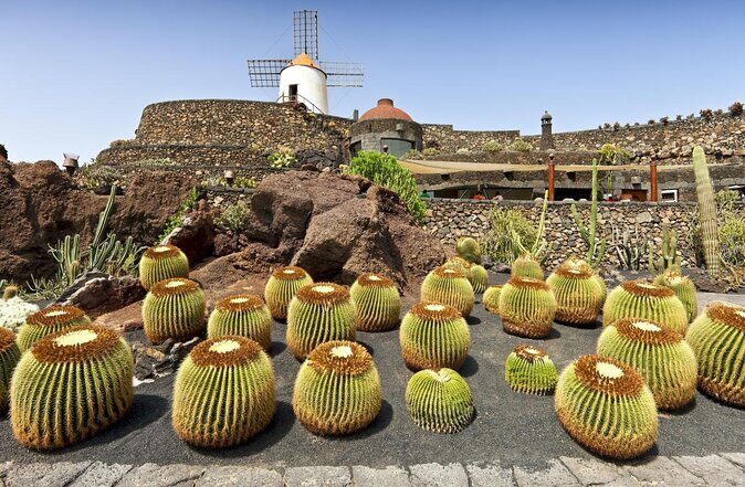 Lanzarote Highlights. Private Tour with Pickup (price per vehicle, not p.p.) - Key things I think you’ll remember