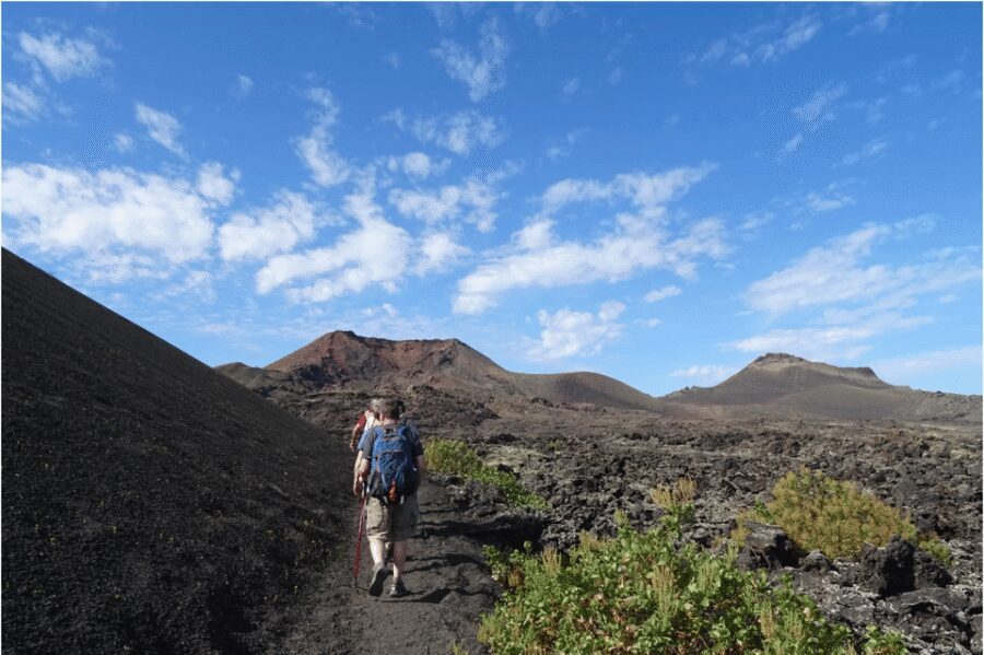 Lanzarote: Hike Across Timanfaya's Volcanic Landscapes - What your guide teaches you (and why it makes the hike better)