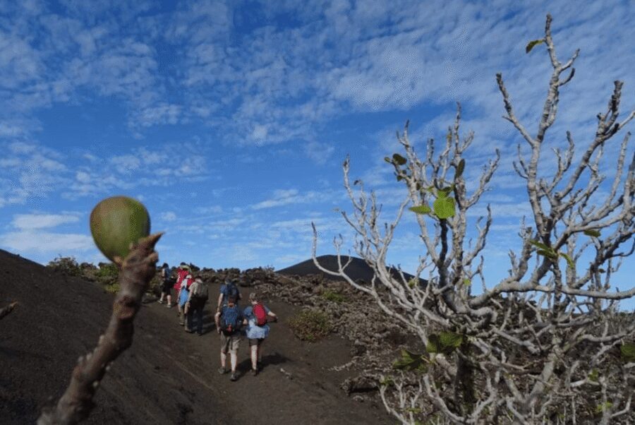Lanzarote: Hike Across Timanfaya's Volcanic Landscapes - Pacing and photo stops: a laid-back walk with real pauses