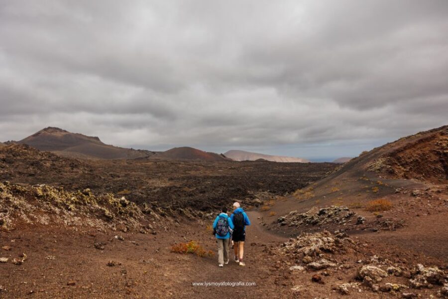 Lanzarote: Hike Across Timanfaya's Volcanic Landscapes - Price and value: is $48 per person a good deal?