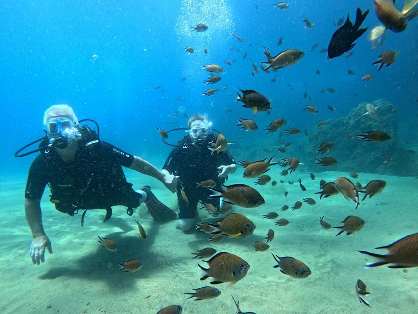 Lanzarote: Intro to Diving Experience for Beginners - What You Learn Underwater: Breathing, Buoyancy, and Signals