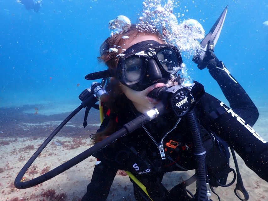 Lanzarote: Intro to Diving Experience for Beginners - Price and Value: Is $87 a Fair Deal?