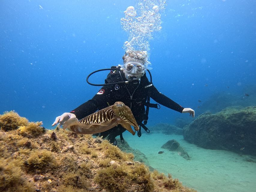 Lanzarote: Intro to Diving Experience for Beginners - Getting There: Pro Dive Lanzarote Van and Small-Group Attention