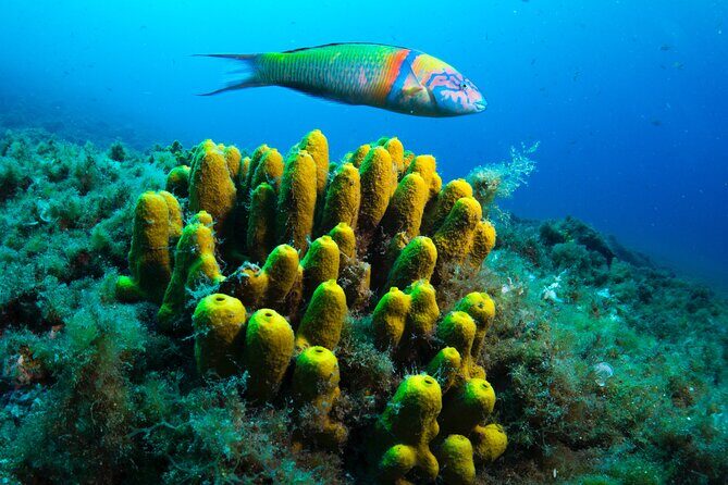 Lanzarote Introductory Scuba Diving Experience - The 2-hour flow: from paperwork to your wetsuit fit