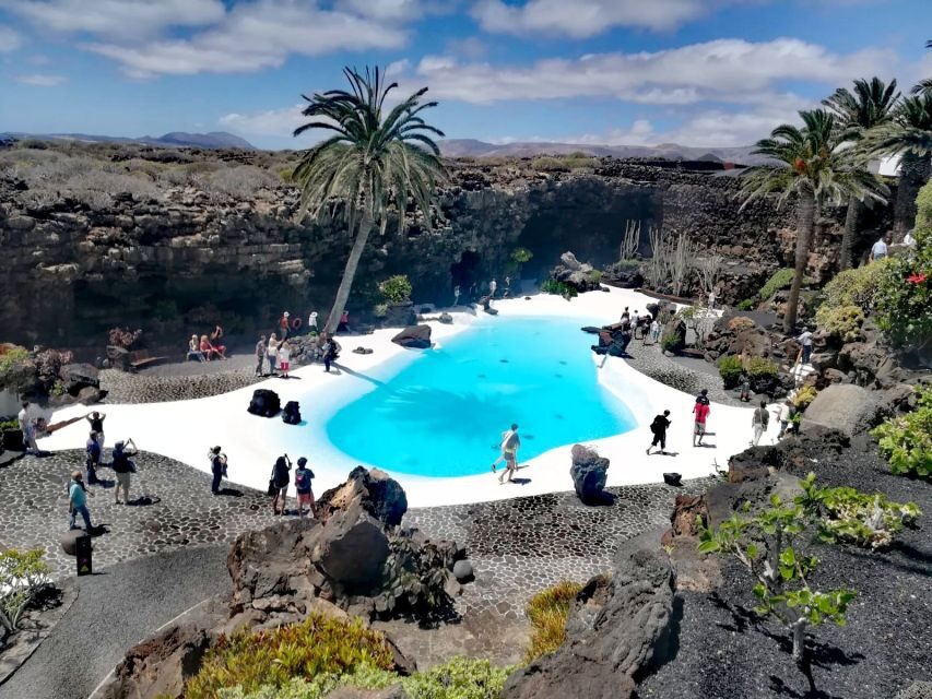 Lanzarote: Jameos del Agua & North Island for Cruise Guests - Key highlights to watch for