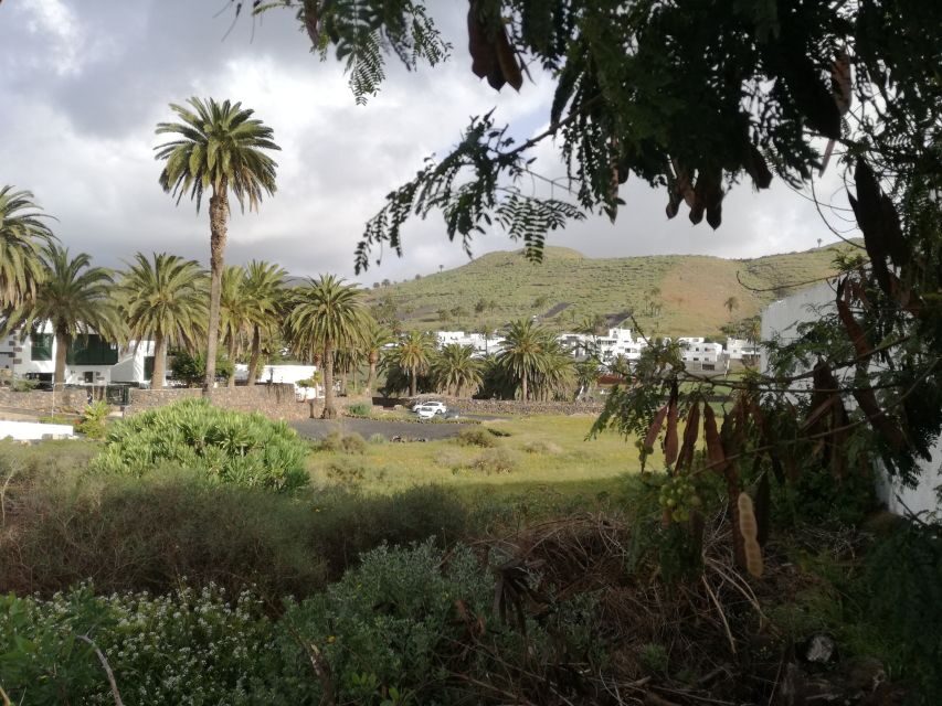 Lanzarote: Jameos del Agua & North Island for Cruise Guests - The return ride: Arrieta, Guatiza, and Teguise feel like real Lanzarote