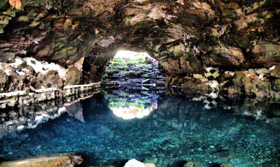 Lanzarote: Jameos del Agua & North Island for Cruise Guests - Price and value: what $47 buys you on a cruise morning