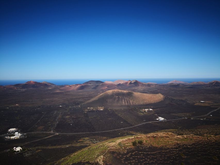 Lanzarote: La Geria Vineyards Hiking Tour - Wine tasting at the winery: Dry Volcanic Malvasia in context