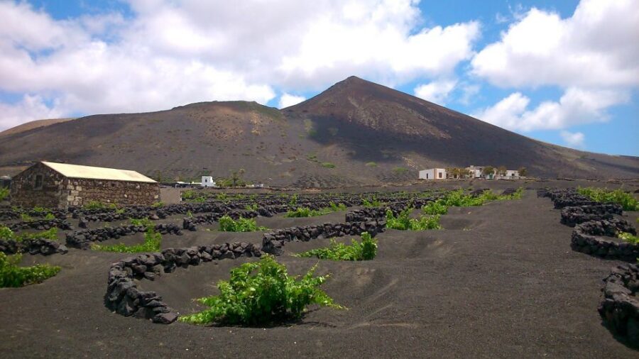 Lanzarote: La Geria Vineyards Hiking Tour - How the guide keeps the walk feeling manageable