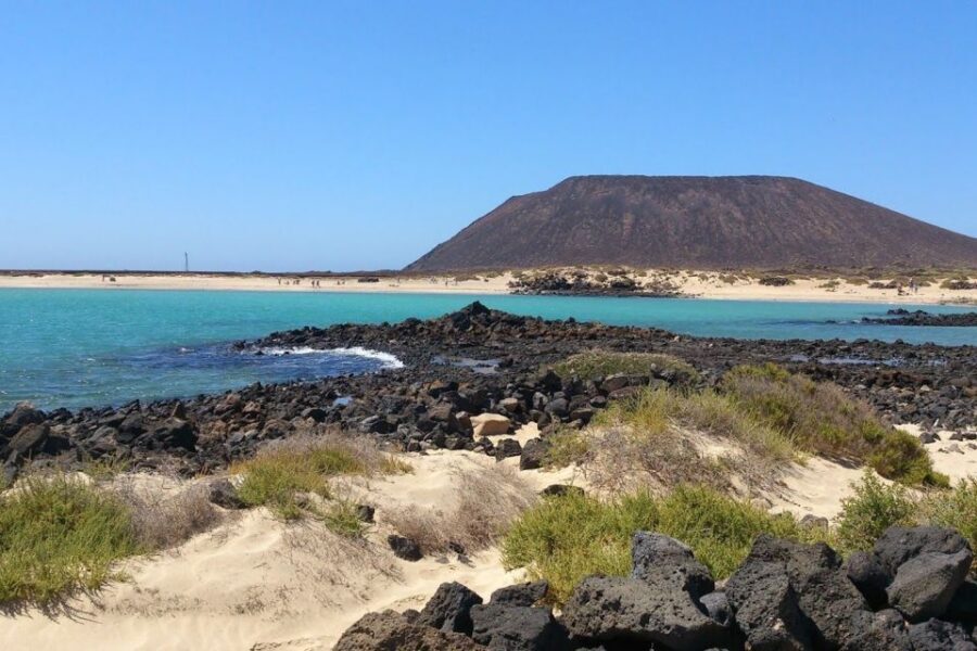 Lanzarote: Lobos Island Half-Day Dolphin Watching Trip - Should you book this Lanzarote to Lobos dolphin watching trip?