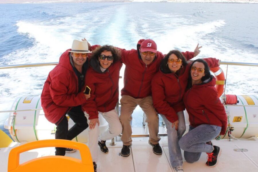 Lanzarote: Lobos Island Half-Day Dolphin Watching Trip - Timing and getting there: how the day stays organized