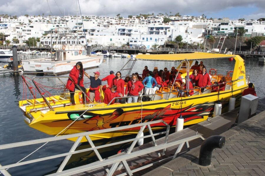 Lanzarote: Lobos Island Half-Day Dolphin Watching Trip - Potential downsides before you book (the stuff that actually affects your day)