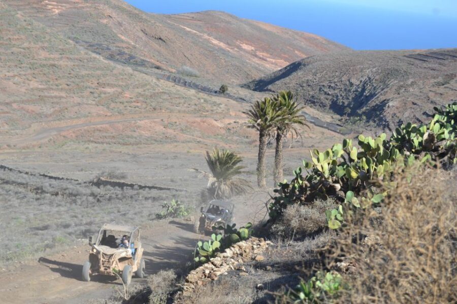Lanzarote: Mix tour Guided Buggy Volcano Tour 4 or 6 seater - Included Gear: Dust-Proof Your Eyes and Hands