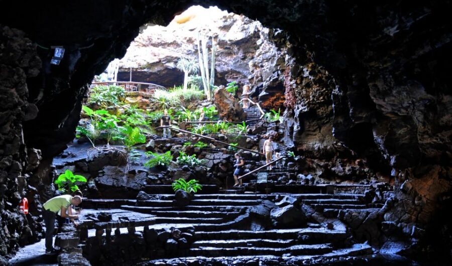 Lanzarote: Northern Half-Day Trip - Price and value: what you actually pay for at about $73