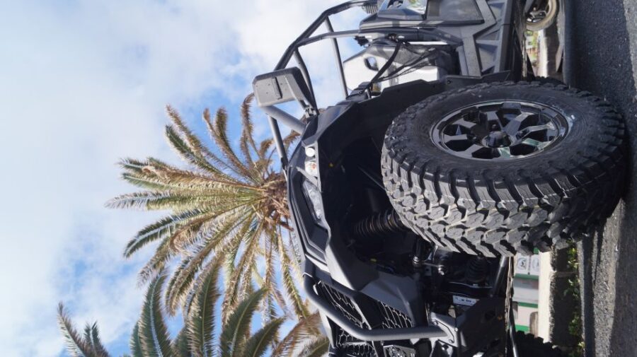 Lanzarote: On-Road Guided Buggy Volcano Tour - Stop 2: La Geria vineyards and Tías—why this part is worth slowing down