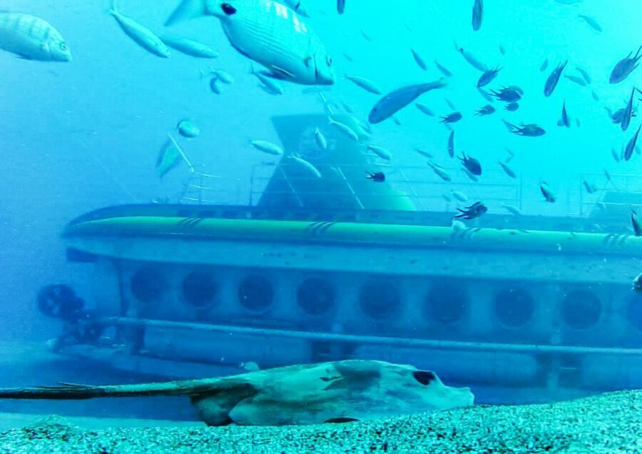 Lanzarote: Real Submarine Dive with Hotel Pickup - Booking your best slot: timing and what to plan around