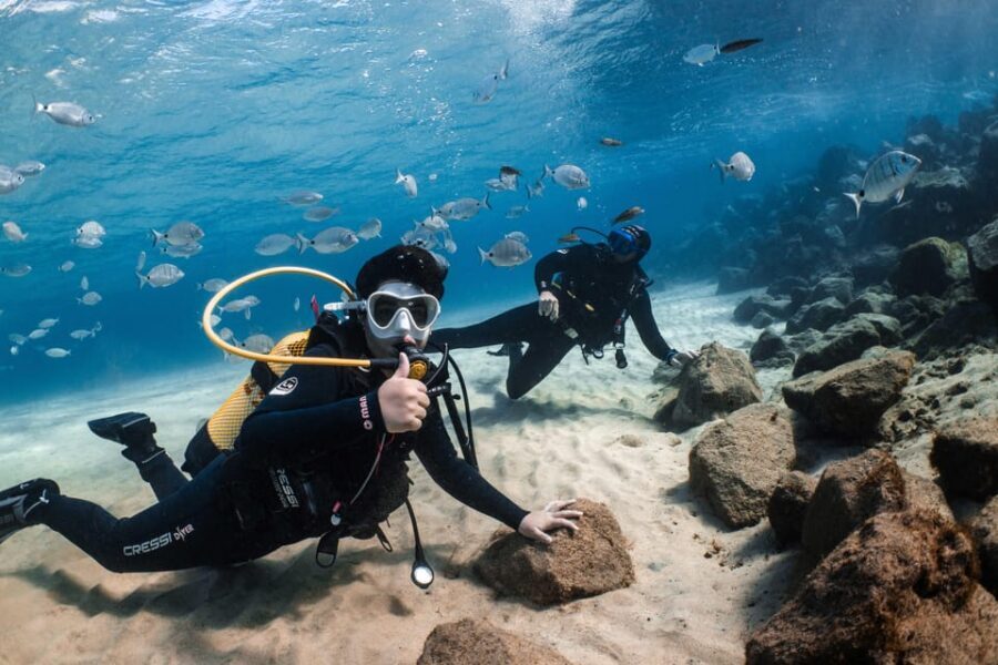 Lanzarote: Scuba Diving for Beginners with 2 Dives - Key Highlights You’ll Actually Feel During the Day