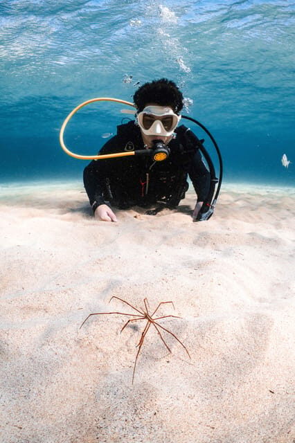 Lanzarote: Scuba Diving for Beginners with 2 Dives - Safety Limits You Should Treat Seriously