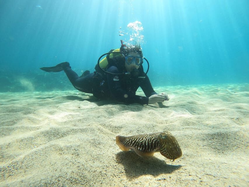 Lanzarote: Scuba Diving for Beginners with 2 Dives - What to Bring (and What You’ll Be Fine Without)