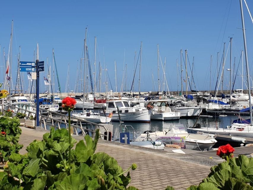 Lanzarote: Sea Safari Experience - Who Should Book This (and Who Might Regret It)