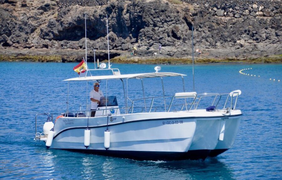 Lanzarote: Sea Safari Experience - Practical Tips for Comfort and Getting the Most From the Safari