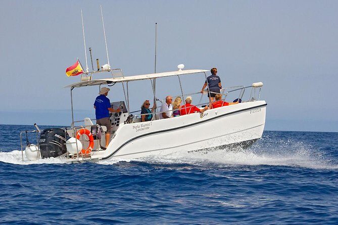 Lanzarote Sea Safari from Puerto calero - Price and Value: What $72.56 Buys You in the Real World