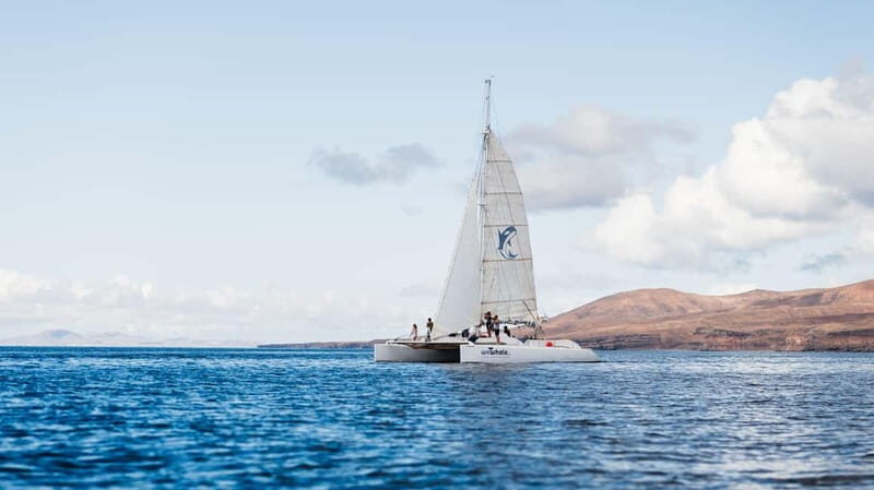 Lanzarote Sunset Experience with dolphin spotting - Why La Santa María’s electric catamaran feels different at sunset