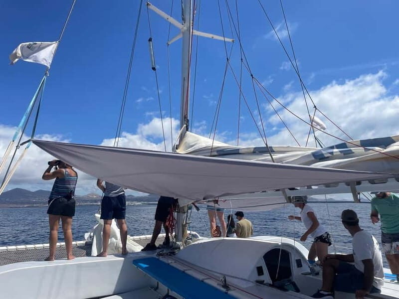 Lanzarote Sunset Experience with dolphin spotting - Should you book this Lanzarote dolphin sunset cruise?