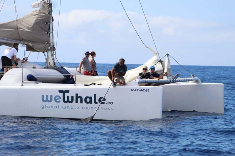 Lanzarote Sunset Experience with dolphin spotting - Your 2.5-hour sunset ride: drinks, snacks, and pacing