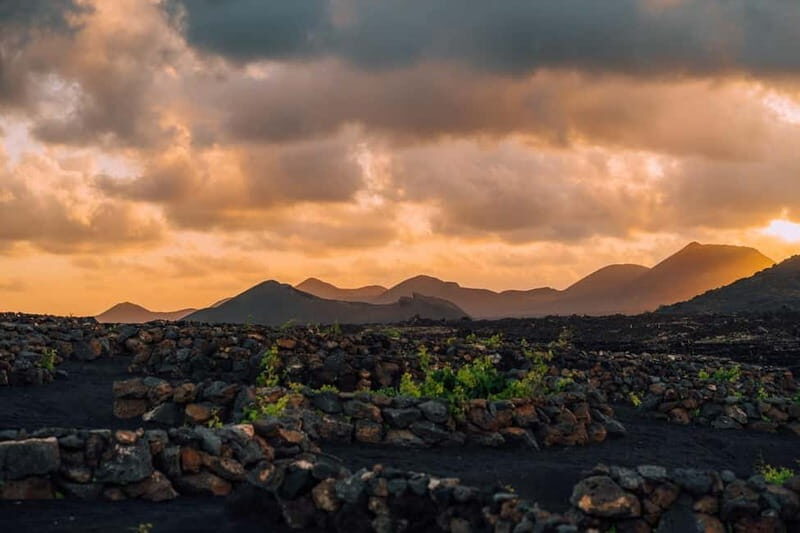 Lanzarote: Sunset vineyard tour with wine and chocolate tasting - Two wines, one tasting flow: how the 40-minute pairing really works
