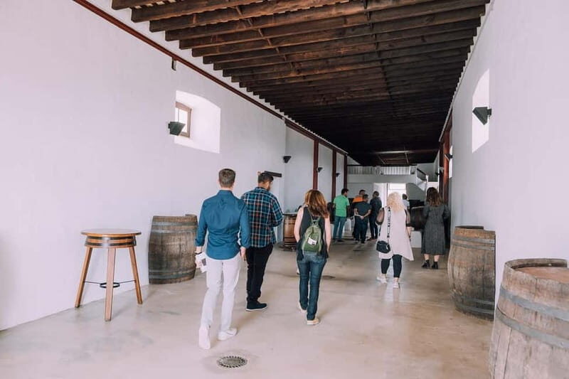 Lanzarote: Sunset vineyard tour with wine and chocolate tasting - Who should book this tour, and who might choose differently