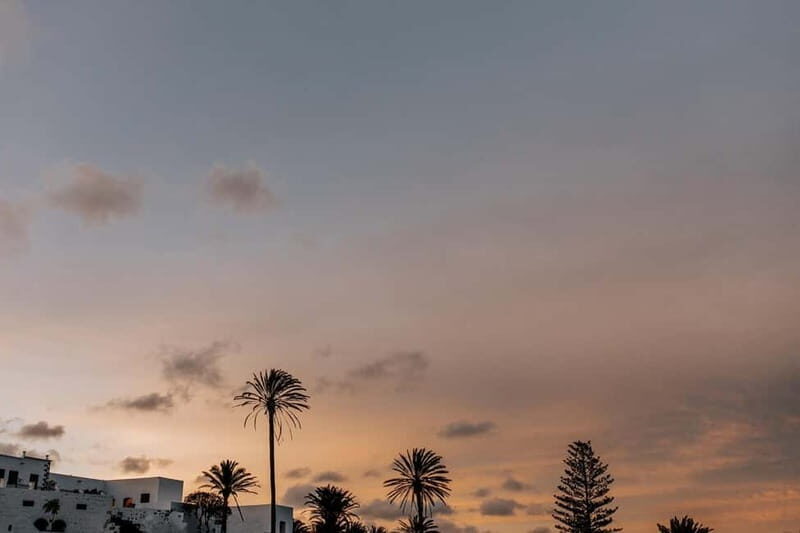Lanzarote: Sunset vineyard tour with wine and chocolate tasting - Should you book the Lanzarote sunset vineyard tour with wine and chocolate?