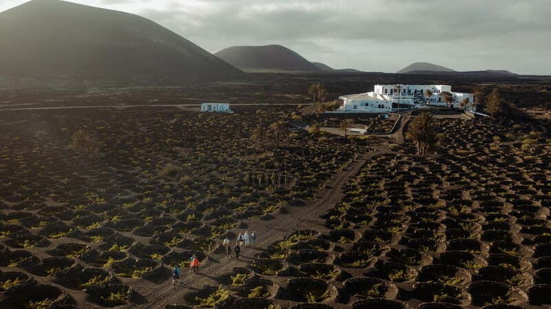 Lanzarote: Sunset vineyard tour with wine and chocolate tasting - The 50-minute guided visit: from canarian home to water systems to old winery