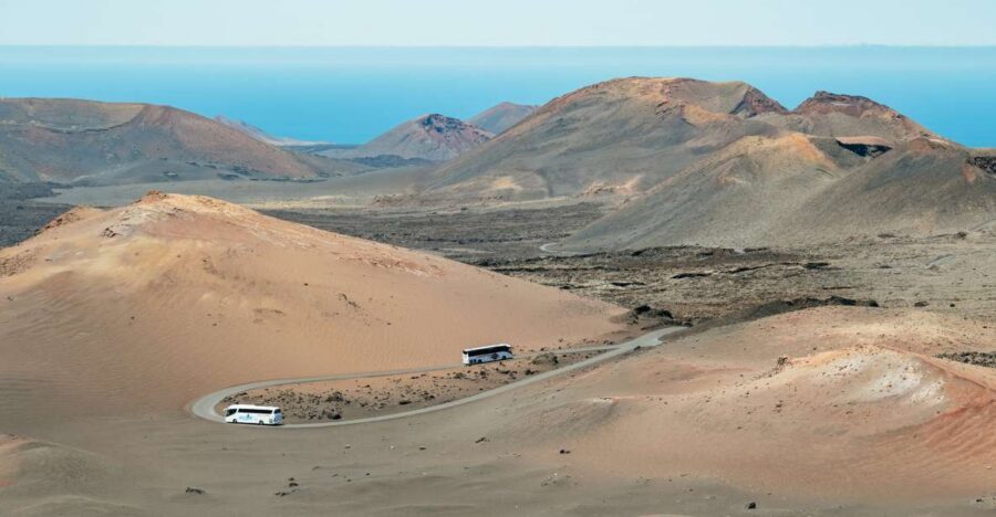 Lanzarote: Timanfaya National Park & La Geria Tour - La Geria: wine-growing in volcanic ash (and why it’s clever)
