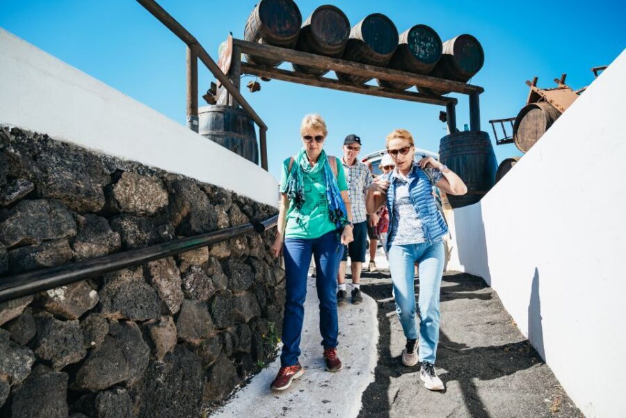 Lanzarote: Timanfaya National Park & La Geria Tour - Who this tour fits best (and who should rethink it)