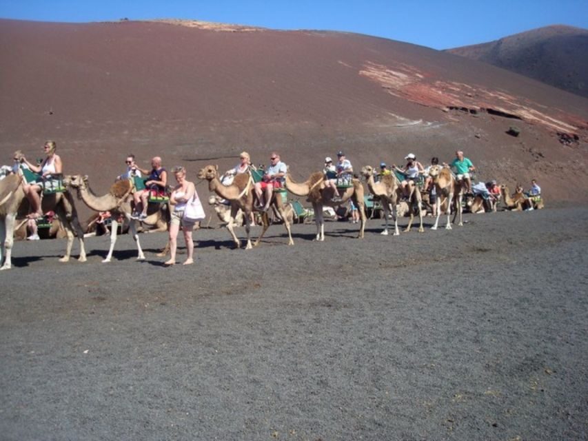 Lanzarote: Timanfaya National Park Tour - The Live Heat Demonstrations: Where the Volcano Story Clicks