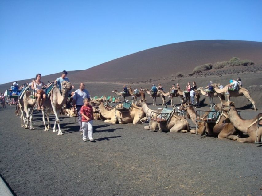 Lanzarote: Timanfaya National Park Tour - Entering Timanfaya’s Famous Volcano Route and the Echadero de Camellos Area