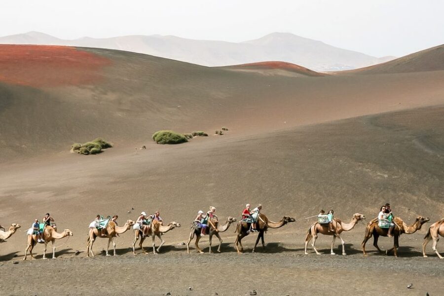 Lanzarote: Timanfaya National Park Volcanic Craters Tour - Key things to know before you go
