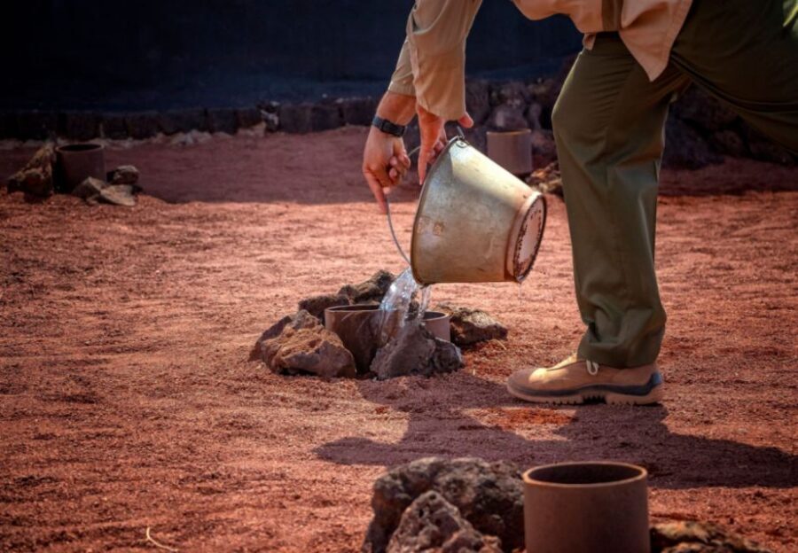Lanzarote: Timanfaya National Park Volcanic Craters Tour - Price and value: is $67 really fair?