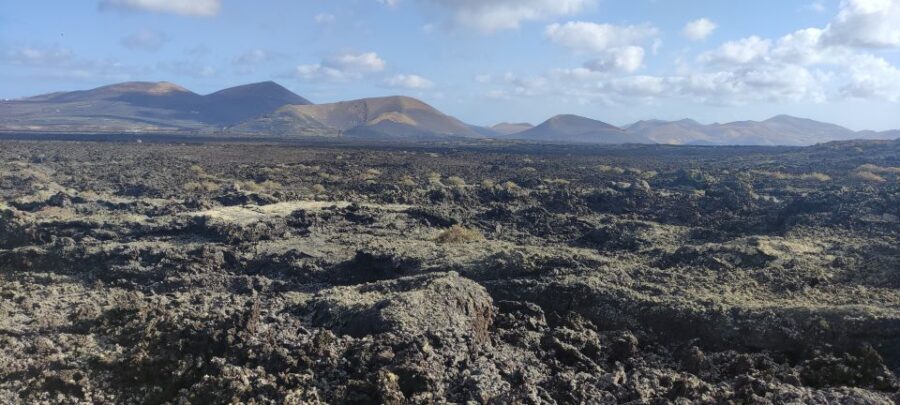 Lanzarote: Timanfaya Natural Park Trekking Tour - Key things I’d circle before you book