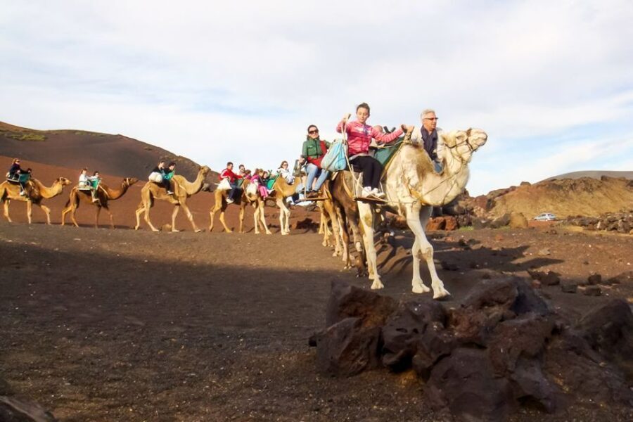 Lanzarote: Timanfaya Park and Jameos del Agua Full-Day Tour - Key highlights to look for