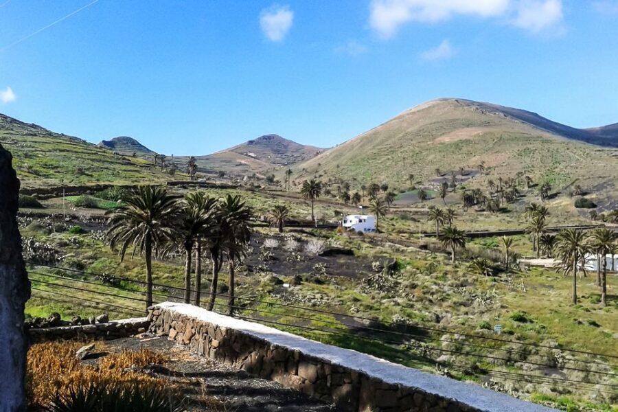 Lanzarote: Timanfaya Park and Jameos del Agua Full-Day Tour - A Full Day Across Lanzarote: South Heat to North Caves