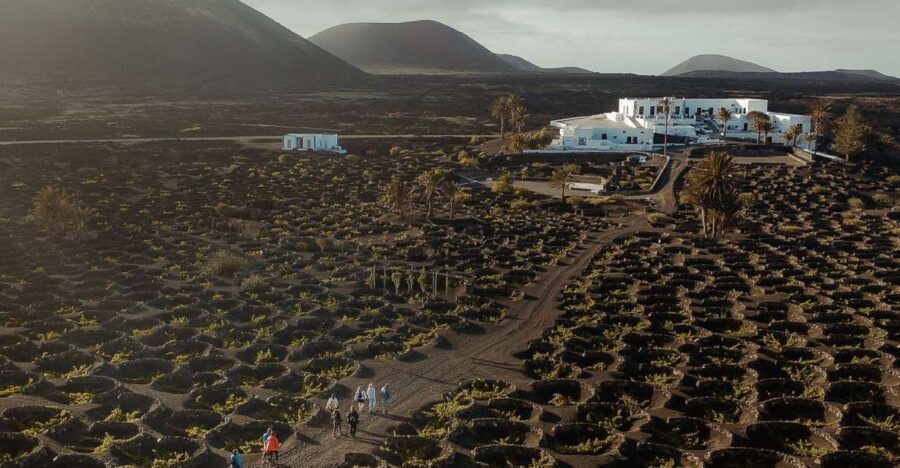 Lanzarote: Vineyard Tour with Wine and Chocolate Tasting - Finca Testeina: the volcanic setting and the water culture you’ll remember